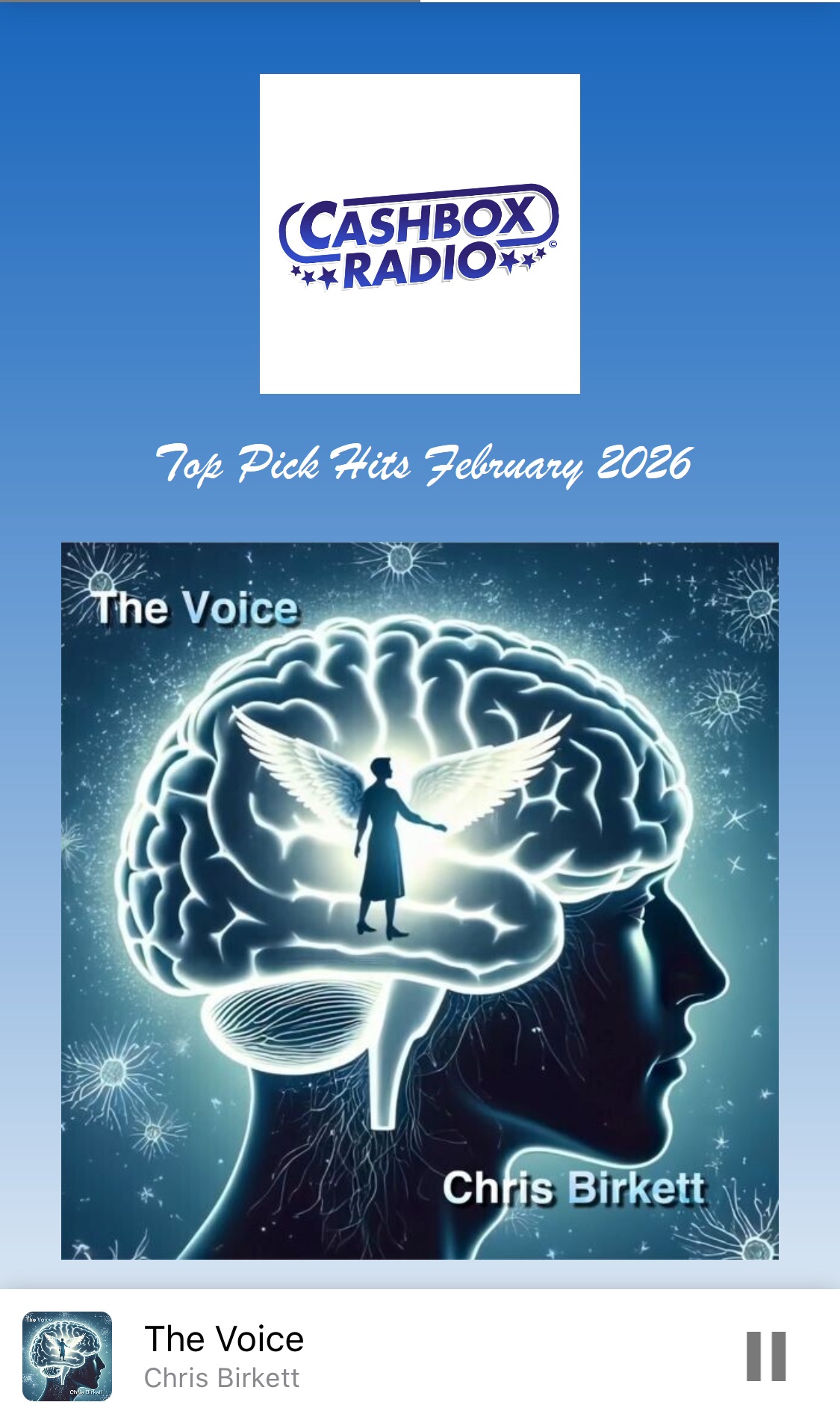 Chris Birkett - The Voice 