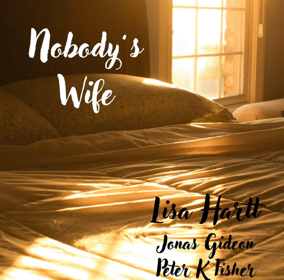 Nobody's Wife Lisa Hartt