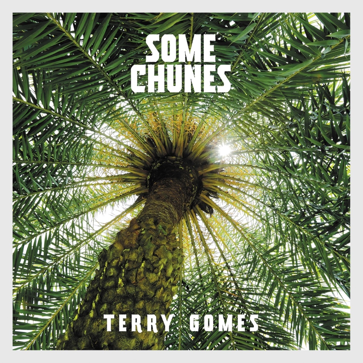 Some Chunes Terry Gomes Artwork
