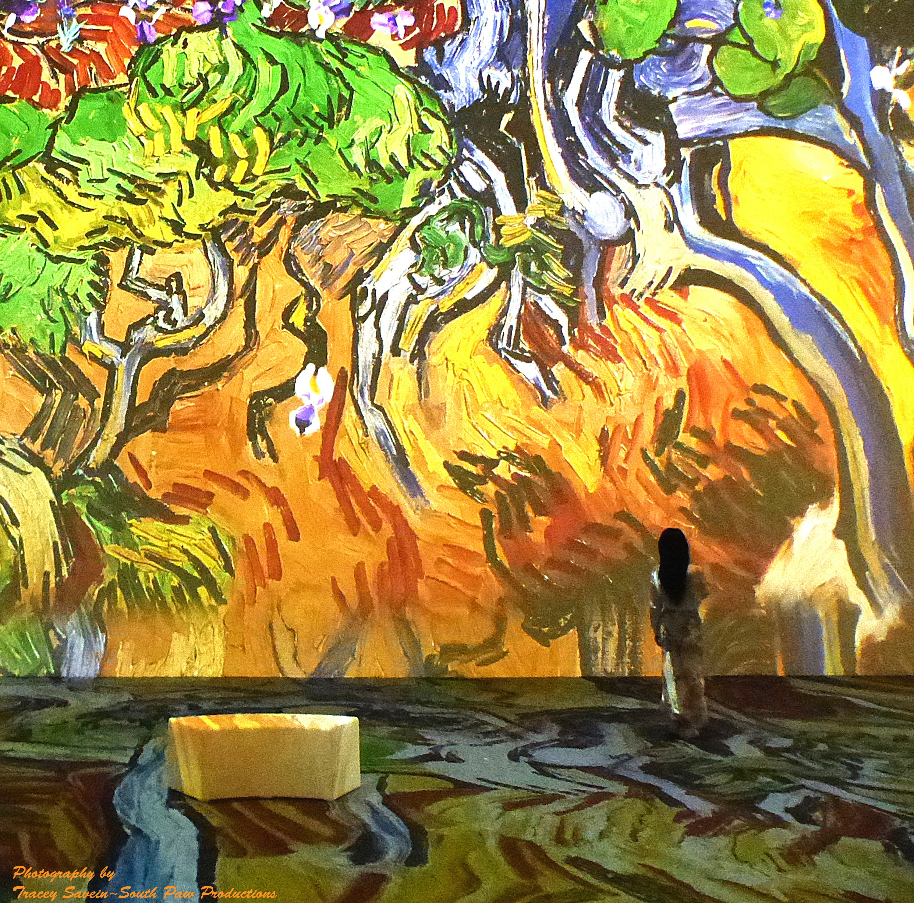 The New Immersive Van Gogh Photo Credit Tracey Savein South Paw Productions