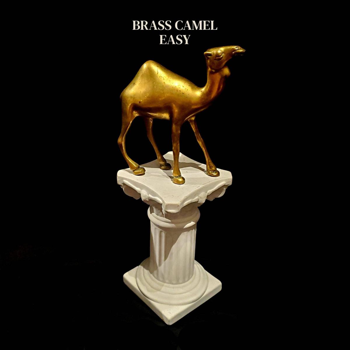 Brass Camel Mash Genres with Whirling Maelstrom of Sound Across Debut Single, “Easy”