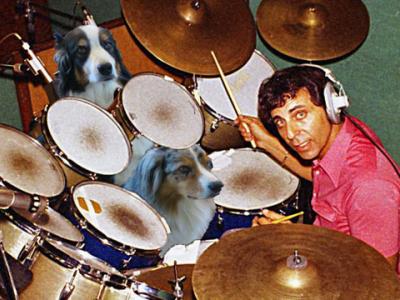 Hal Blaine May He Rest Forever On the 2 and the 4