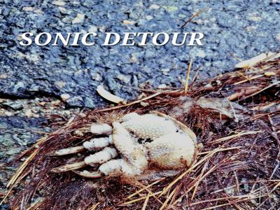 Sonic Detour